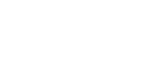 Bornholmerbussen logo